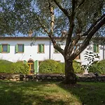 Active Paradiso